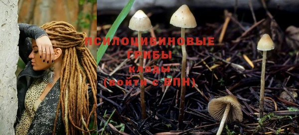экстази Алексин