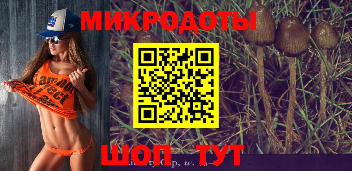 Галлюциногенные грибы Psilocybe  Вход с VPN  Галлюциногенные грибы MAGIC MUSHROOMS  Брянск 