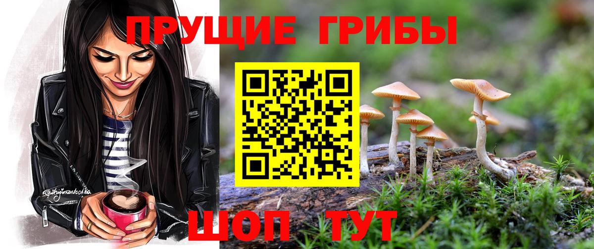 Псилоцибиновые грибы Cubensis Брянск